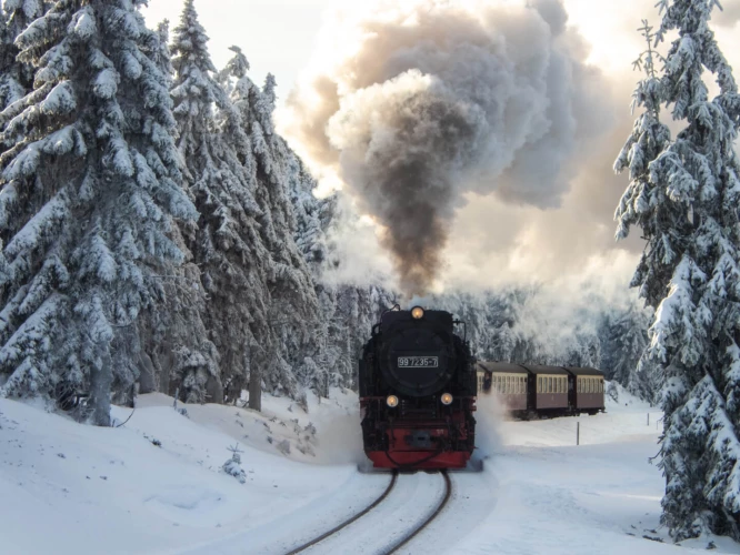 Harz Winter 2019